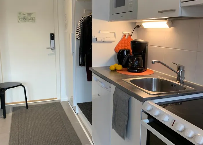 Centrum With Sauna, * Levi